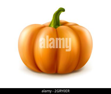citrouille orange vecteur 3d réaliste isolée sur fond blanc. Illustration de Vecteur