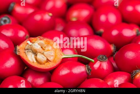 Demi-hanche rose avec grains de poilu dans de la pulpe douce sur texture de fruit rouge. Gros plan de la coupe transversale de la hanche roséchée dans le tas de baies de brier mûres sur fond flou. Banque D'Images