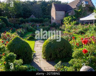 Chenies Manor jardin en contrebas à la fin septembre. Ombre rampante et soleil vivrant qui refluent les dahlias rouge vif et orange le long des chemins. Banque D'Images