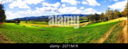 Pâturage vert sur une ferme agricole éloignée cultivée en Tasmanie rurale en Australie. Banque D'Images