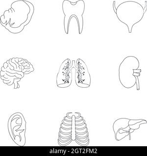 Structure de l'ensemble d'icônes de corps, style de contour Illustration de Vecteur