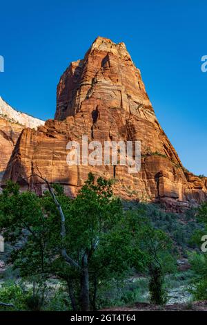 Lever de soleil au-dessus de l'orgue dans le parc national de Zion Banque D'Images