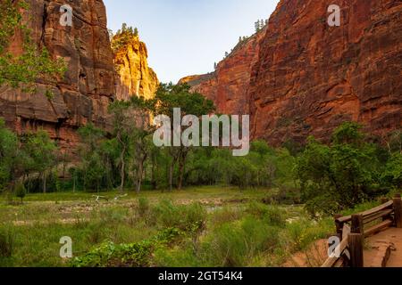 Lever de soleil sur les Narrows dans le parc national de Zion Banque D'Images