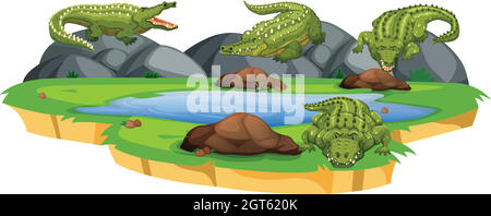 Groupe de crocodiles dans l'étang Illustration de Vecteur