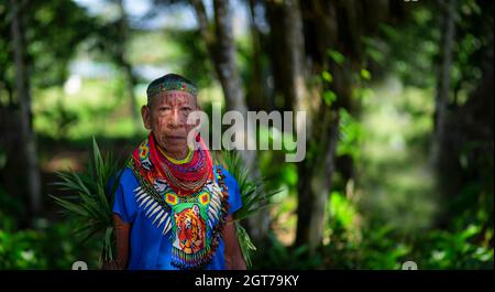 Nueva Loja, Sucumbios / Equateur - 2 septembre 2020: Gros plan d'un vieux chaman de la nationalité cofan marchant au milieu de la jungle amazonienne Banque D'Images