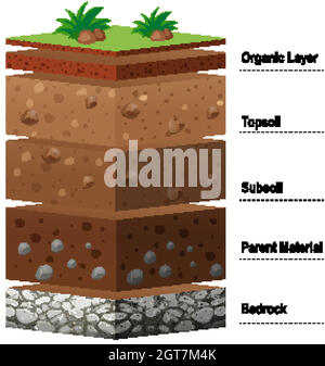 Différentes couches de sol sur terre Illustration de Vecteur