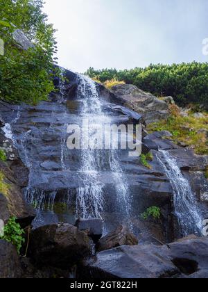 Cascade sous le sommet de Hoverla Banque D'Images