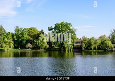 Paysage avec d'anciens arbres verts près du lac Herastrau et de grands arbres verts dans le parc du Roi Michael I (ancien Herastrau) à Bucarest, en Roumanie, dans un s ensoleillé Banque D'Images