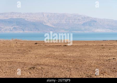 Lever de soleil sur la mer Morte par une journée brumeuse. Vue d'Israël sur les montagnes du Jourdain. Photo de haute qualité Banque D'Images