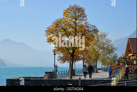 Brienz, Suisse - 18 octobre 2018. Magnifique parc au bord du lac à Brienz, Suisse. Le lac est entouré d'un paysage unique de montagnes et de espar Banque D'Images