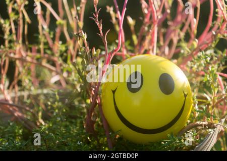 Gros plan Emoji signe Smiley face d'une Squeeze ball bouche représentant un symbole de bonheur, placé sur les plantes et la nature fond. Vue avant. Heureux s Banque D'Images