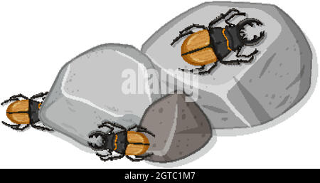 Vue de dessus de nombreux coléoptères de cerf sur des pierres Illustration de Vecteur