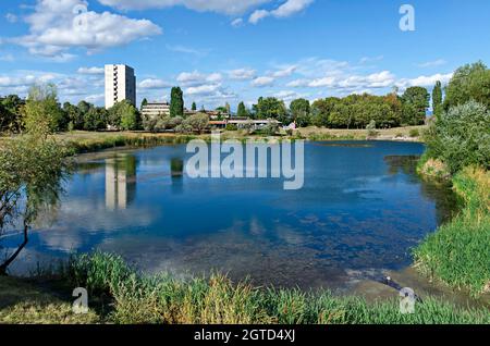 Panorama d'automne d'une partie du quartier au bord du lac avec arbres verts, arbustes et herbe brûlée, Drujba, Sofia, Bulgarie Banque D'Images