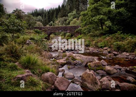 Image du long de la rivière Caerfanell dans la région de Blaen y Glyn des Brecon Beacons. Banque D'Images