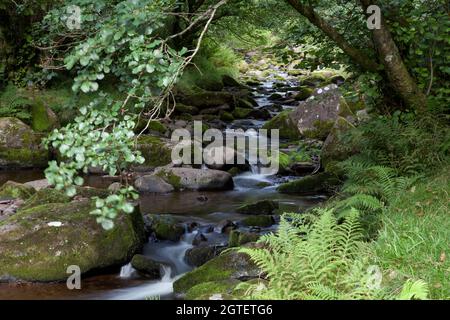 Image du long de la rivière Caerfanell dans la région de Blaen y Glyn des Brecon Beacons, Galles du Sud, Royaume-Uni Banque D'Images