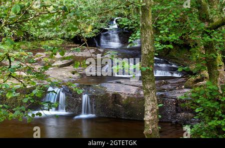 Image du long de la rivière Caerfanell dans la région de Blaen y Glyn des Brecon Beacons. Banque D'Images