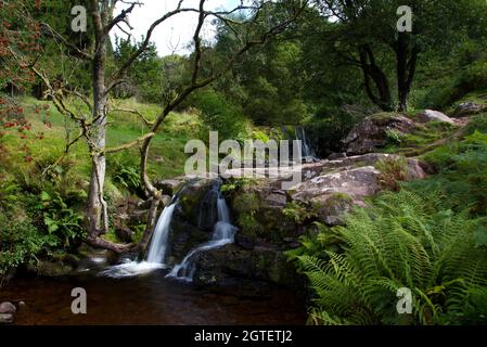 Image du long de la rivière Caerfanell dans la région de Blaen y Glyn des Brecon Beacons, Galles du Sud, Royaume-Uni Banque D'Images