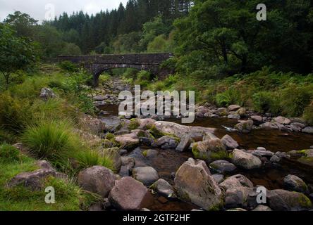 Image du long de la rivière Caerfanell dans la région de Blaen y Glyn des Brecon Beacons, Galles du Sud, Royaume-Uni Banque D'Images