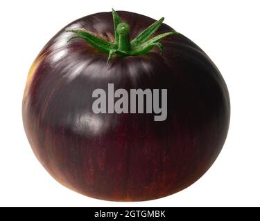 La tomate à l'ancienne d'Alices, riche en anthocyanes, bicolore (fruit de Solanum lycopersicum) isolée Banque D'Images