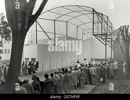Sport en Argentine dans les années 1950 – ici, un jeu de pelota a paleta se déroule sur un terrain de plein air à l'Estadio Eva Perón, Junín, Buenos Aires, Argentine au début des années 1950.Il s’agit d’un double match entre hommes joué avec une balle en cuir dur et utilisant des paletas en bois (raquettes, pagaies ou chauves-souris).Notez la cage de sécurité sur ce terrain.Le sport est basé sur un jeu basque joué dans une cour à deux murs.Le «mur a gauche» (en français: «mur à gauche» tel qu'il est vu ici) plus un mur avant (frontis).Cette photo est tirée d'un album photo/album de scrapbook assemblé dans les années 1940/50 par un passionné de sport. Banque D'Images
