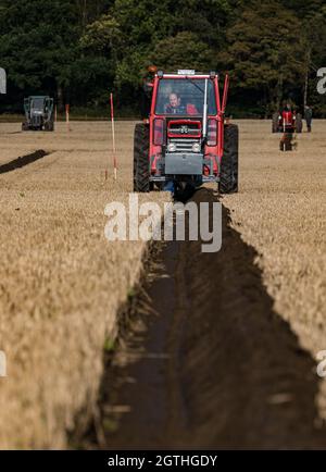 Luffness mains Farm, East Lothian, Écosse, Royaume-Uni, 2 octobre 2021.Match de labour caritatif : les agriculteurs participent à l'événement pour recueillir des fonds pour les championnats écossais de labour qui ont été durement touchés par la pandémie.Les tracteurs sont des modèles horticoles classiques, classiques, classiques et vintage hydrauliques, non hydrauliques et réversibles.Les juges décerne des points pour la rectitude, les ouvertures et les sorties et une variété d'autres caractéristiques des lignes labourées.Photo : un tracteur Massey Ferguson classique labourant une ligne Banque D'Images