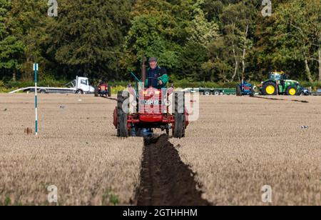 Tracteur récoltant un champ de carottes couvert de paille à Luffness mains  Farm, East Lothian, Écosse, Royaume-Uni Photo Stock - Alamy