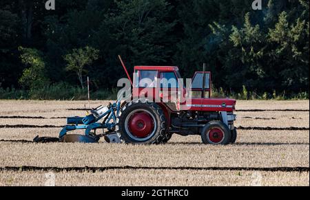 Luffness mains Farm, East Lothian, Écosse, Royaume-Uni, 2 octobre 2021.Match de labour caritatif : les agriculteurs participent à l'événement pour recueillir des fonds pour les championnats écossais de labour qui ont été durement touchés par la pandémie.Les tracteurs sont des modèles horticoles classiques, classiques, classiques et vintage hydrauliques, non hydrauliques et réversibles.Les juges décerne des points pour la rectitude, les ouvertures et les sorties et une variété d'autres caractéristiques des lignes labourées.Photo : un tracteur Massey Ferguson classique labourant une ligne Banque D'Images