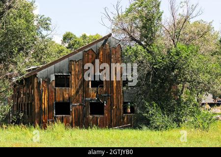 Ancien bâtiment en bois abandonné avec des mauvaises herbes trop cultivées Banque D'Images