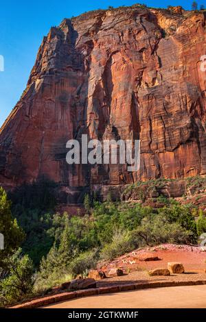 Lever du soleil dans le canyon de réfrigérateur dans le parc national de Zion Banque D'Images