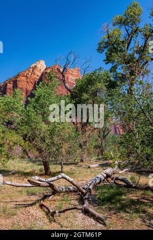 Lever du soleil sur le Mont Zion dans le parc national de Zion Banque D'Images