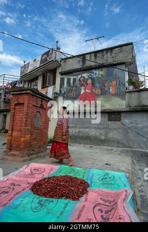 Kirtipur, Népal - octobre 2021 : une femme séchant du Chili au soleil dans la rue le 2 octobre 2021 à Kirtipur, dans la vallée de Katmandou, Népal. Banque D'Images