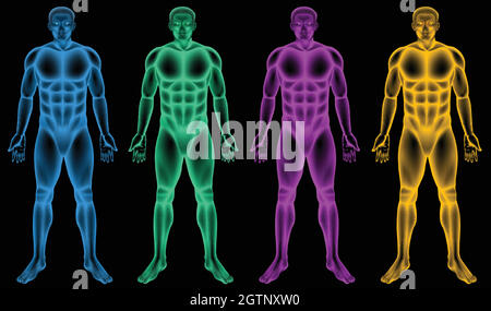Corps mâles colorés Illustration de Vecteur