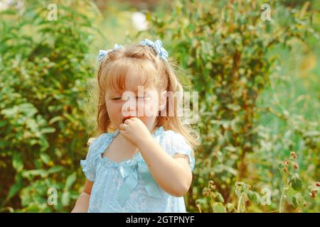 enfant dans le jardin avec baies Banque D'Images