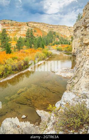 le canyon calcaire et les couleurs d'automne le long de belt creek dans le parc national de bidonville près de monarch, montana Banque D'Images