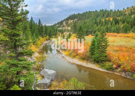 le canyon calcaire et les couleurs d'automne le long de belt creek dans le parc national de bidonville près de monarch, montana Banque D'Images