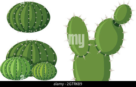 Trois types de plantes cactus Illustration de Vecteur