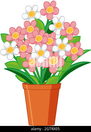 Belles fleurs en pot d'argile sur fond blanc Illustration de Vecteur