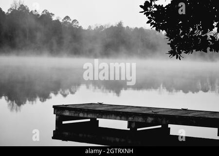 Échelle de gris d'une jetée en bois sur un lac le matin d'une brumeuse Banque D'Images