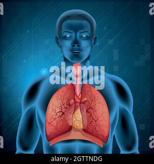 Système respiratoire humain Illustration de Vecteur