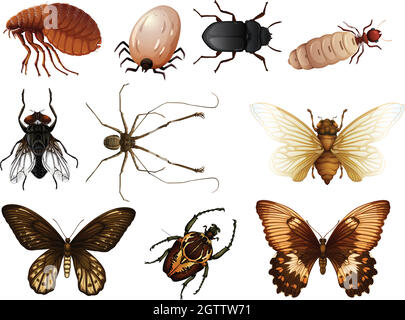 Jeu de insectes et de insectes Illustration de Vecteur