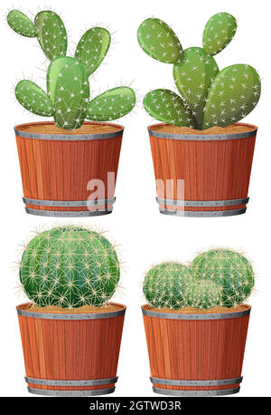 Ensemble de cactus dans un pot en bois isolé sur fond blanc Illustration de Vecteur