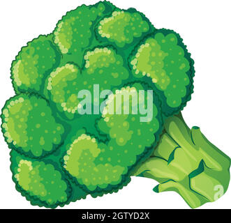 Un brocoli Illustration de Vecteur