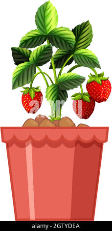 Plante de fraise en pot rouge isolée sur fond blanc Illustration de Vecteur