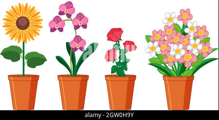 Belles fleurs en pots sur fond blanc Illustration de Vecteur