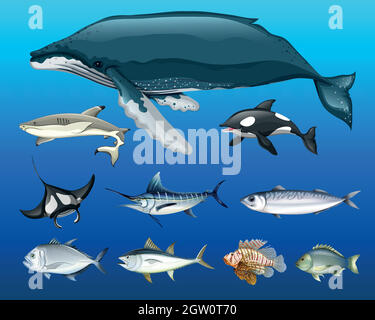 Différents types d'animaux marins Illustration de Vecteur