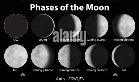 Phases de la Lune Illustration de Vecteur