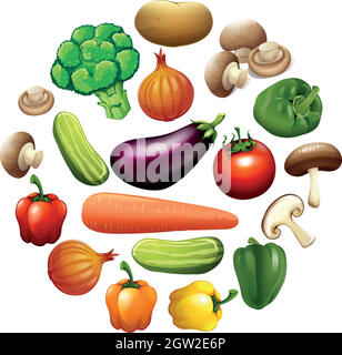 Différents types de légumes Illustration de Vecteur