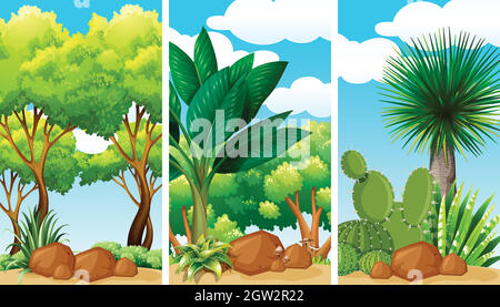 Scènes de jardin avec plantes et rochers Illustration de Vecteur