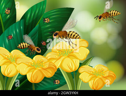 Gros plan avec beaucoup d'abeilles et de fleurs jaunes sur fond flou Illustration de Vecteur