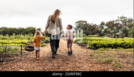 Une jeune famille heureuse marchant vers un champ agricole. Vision d'une mère célibataire qui récolte avec ses deux enfants sur une ferme biologique. Auto- Banque D'Images